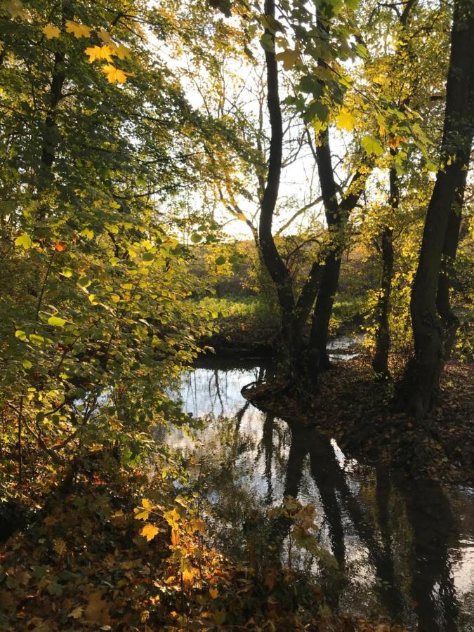 La Suite Cosy - Votre Pause Arborée La Bruyere Esterno foto