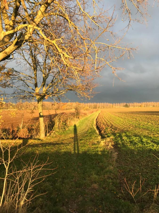 La Suite Cosy - Votre Pause Arborée La Bruyere Esterno foto