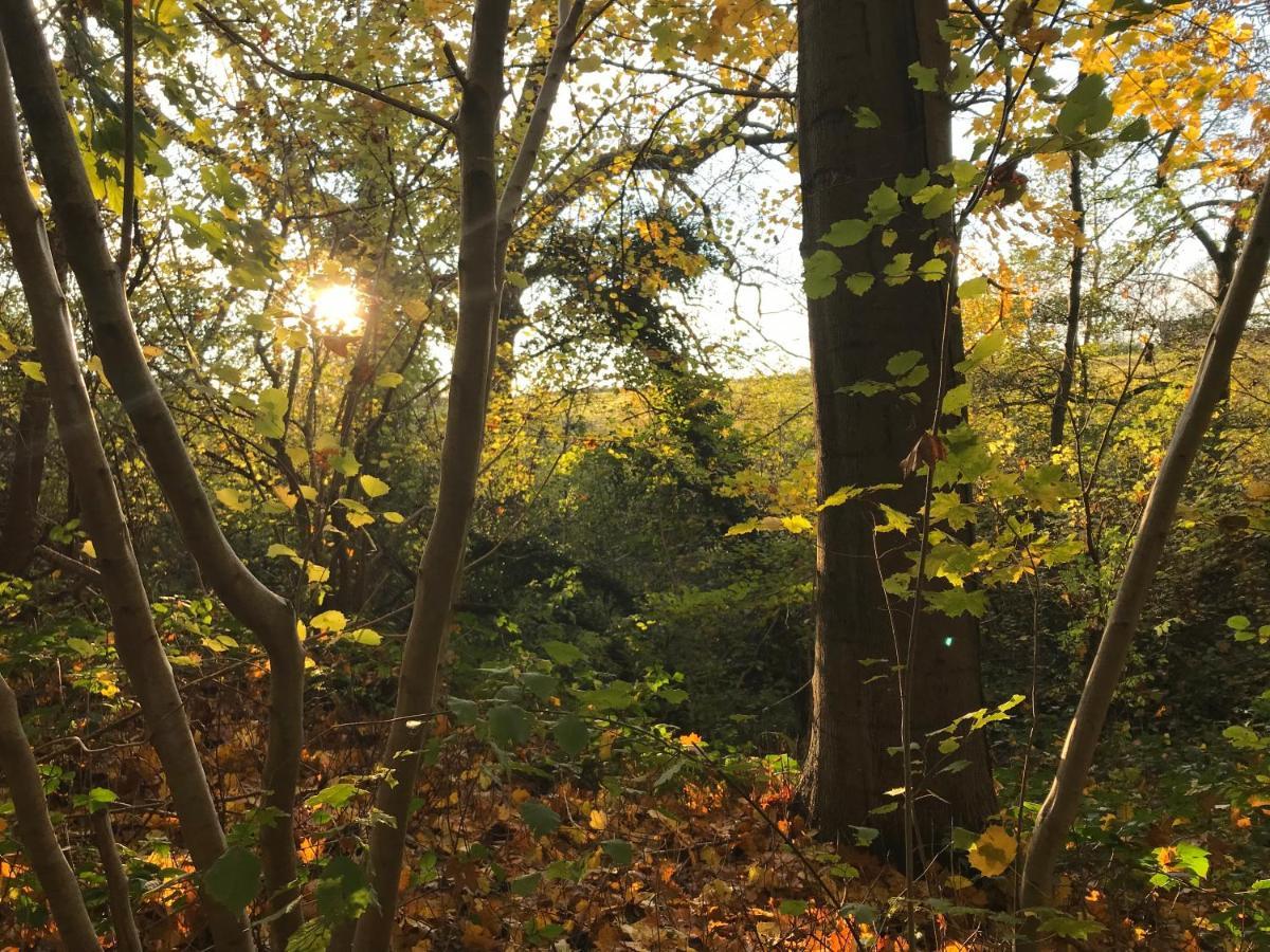 La Suite Cosy - Votre Pause Arborée La Bruyere Esterno foto