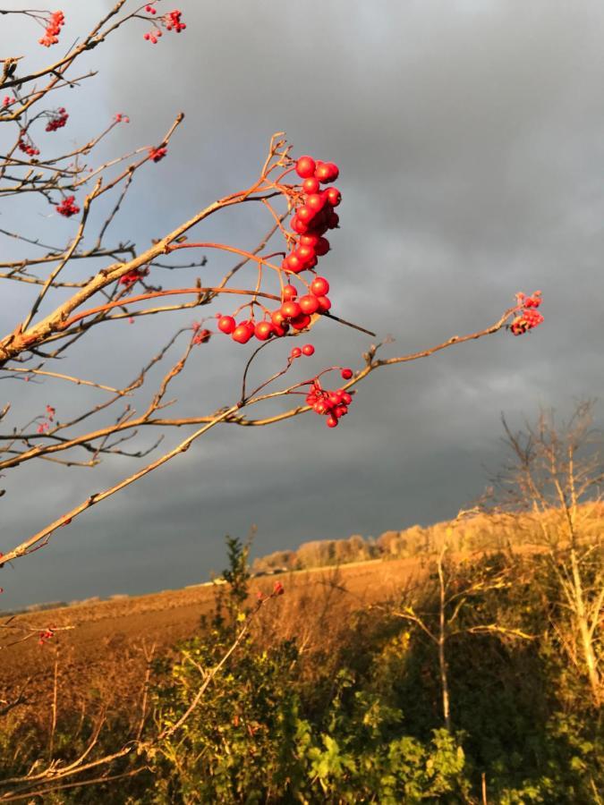 La Suite Cosy - Votre Pause Arborée La Bruyere Esterno foto