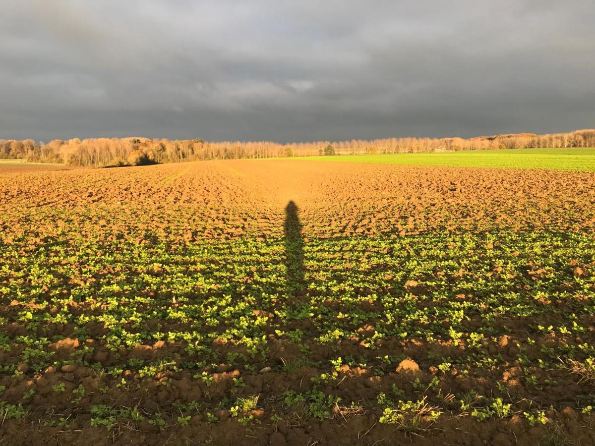La Suite Cosy - Votre Pause Arborée La Bruyere Esterno foto