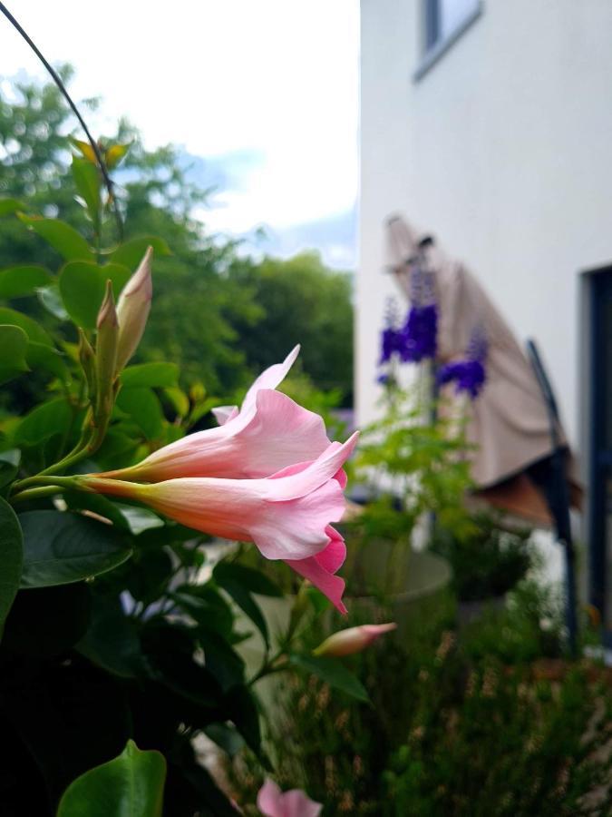 La Suite Cosy - Votre Pause Arborée La Bruyere Esterno foto
