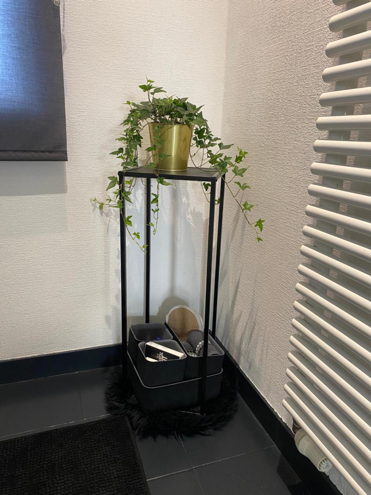 La Suite Cosy - Votre Pause Arborée La Bruyere Esterno foto