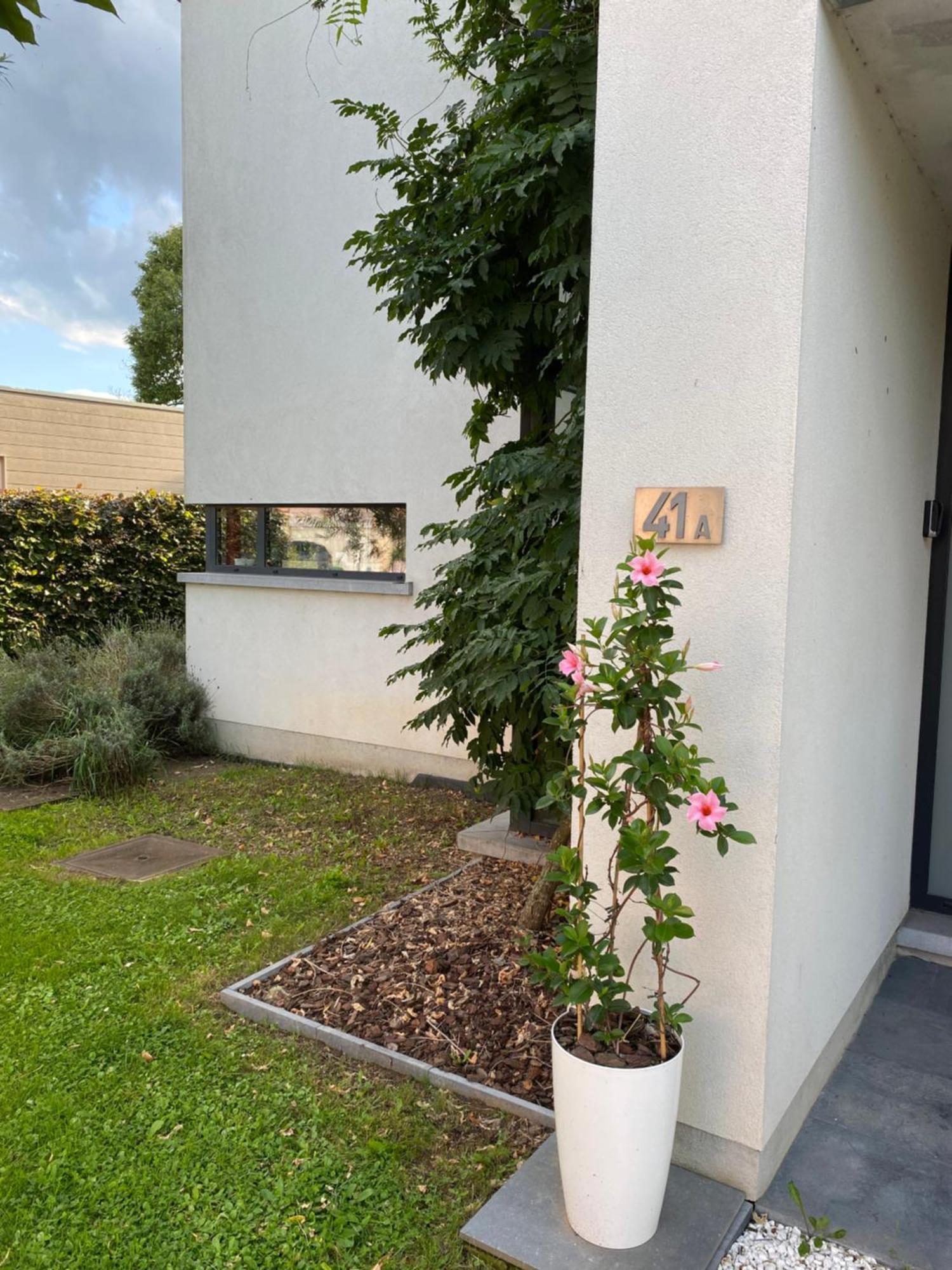 La Suite Cosy - Votre Pause Arborée La Bruyere Esterno foto